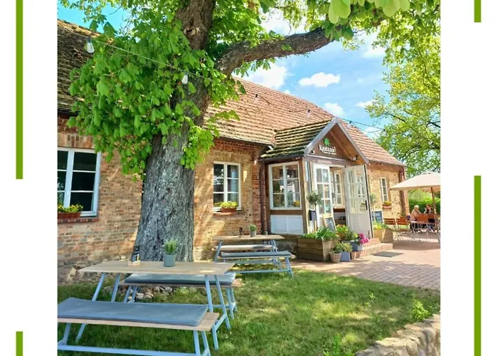 In Moltzow- Viel Platz In Laendlicher Lage Moltzow